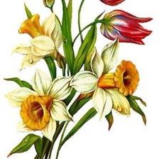 Схема вышивки «Весенние цветы»