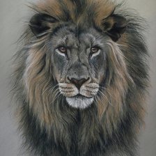 Схема вышивки «Лев»