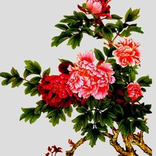 Схема вышивки «древовидный пион»