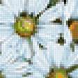 Предпросмотр схемы вышивки «№295274»