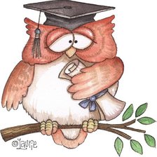 Схема вышивки «учёная Сова»