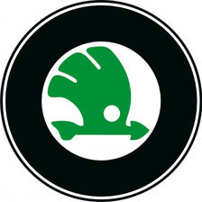 Схема вышивки «шкода»