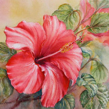 Схема вышивки «китайская роза»