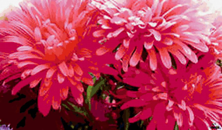 №295331 - розы, букеты, цветы - предпросмотр