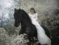 Схема вышивки «№295380»