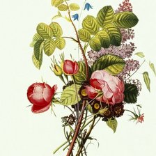 Схема вышивки «№295414»