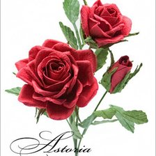 Схема вышивки «№295419»