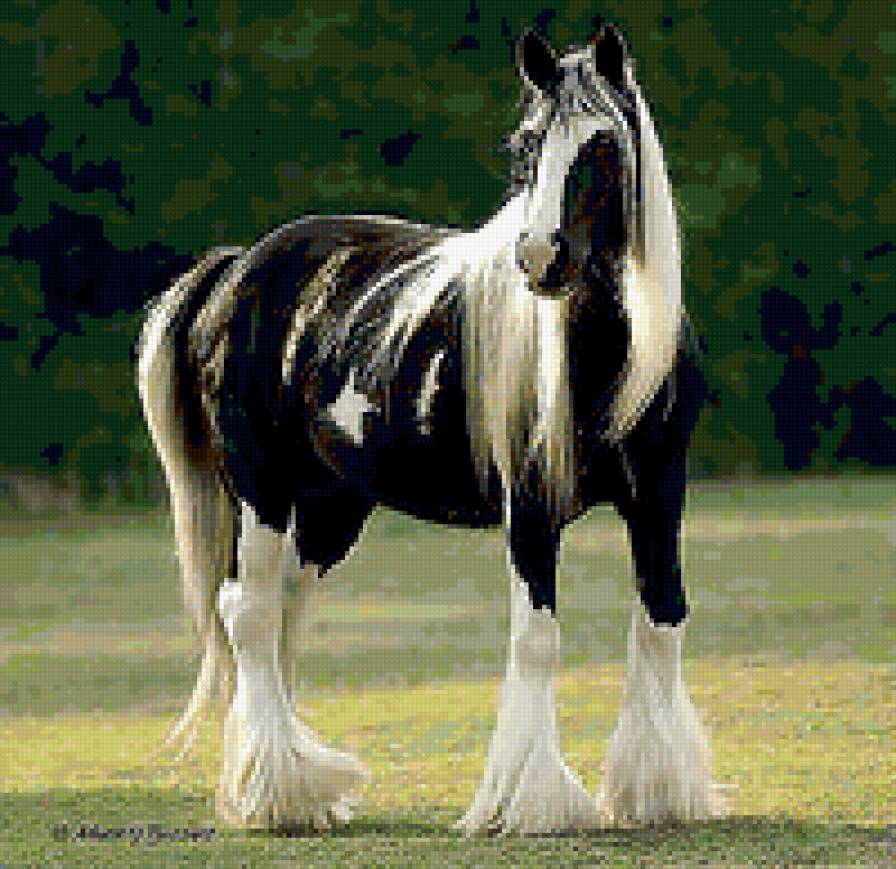 Конь - красавец - предпросмотр