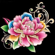 Пионы на черном фоне -  60 цветов