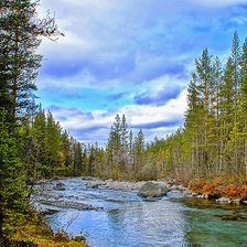 Схема вышивки «природа»