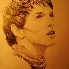 Схема вышивки «Мерлин»