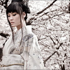 Схема вышивки «Прогулка по цветущему саду.»