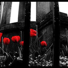 Схема вышивки «Flowers»