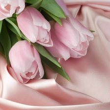 Схема вышивки «тюльпаны»