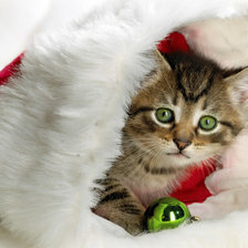 Схема вышивки «кошка»