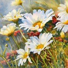 Схема вышивки «ромашки»