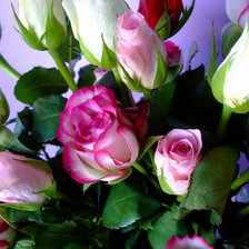 Схема вышивки «№296568»