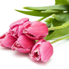 Схема вышивки «№296574»