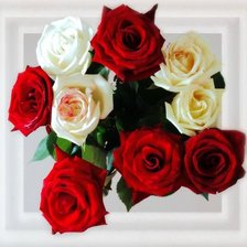 Схема вышивки «№296575»