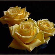 Схема вышивки «№296590»