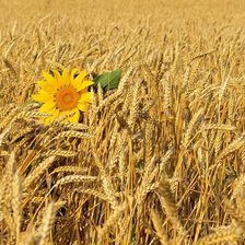 Схема вышивки «№296598»