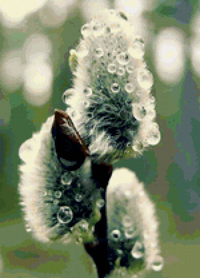 Верба - весна - предпросмотр