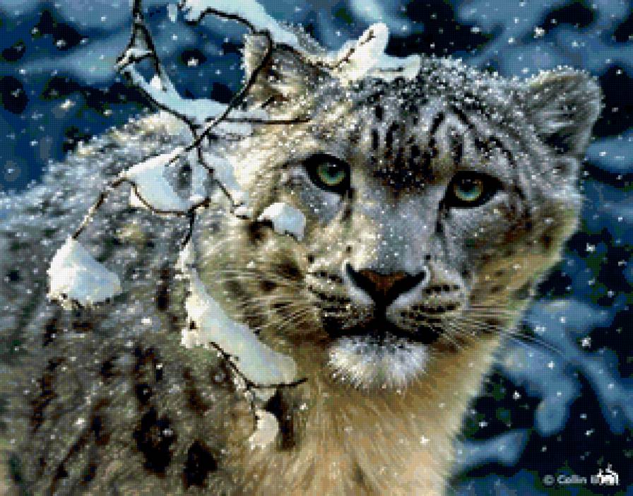 дикие кошки - дикие кошки - предпросмотр