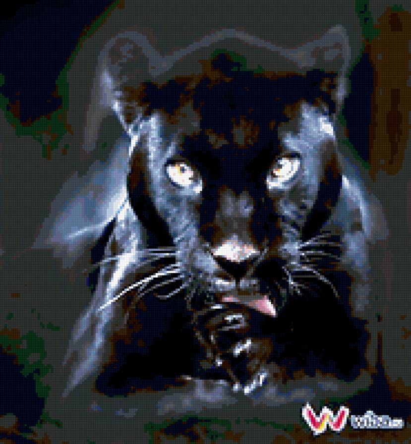 багира - кошки, звери, пантера - предпросмотр