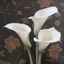 цветы от художника Игоря Левашова