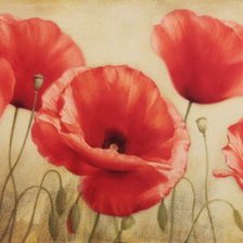 цветы от художника Игоря Левашова