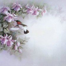 Схема вышивки «колибри»