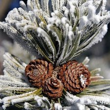 Схема вышивки «ветка сосны»