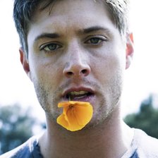 Схема вышивки «Дженсен»