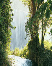 Схема вышивки «№296959»