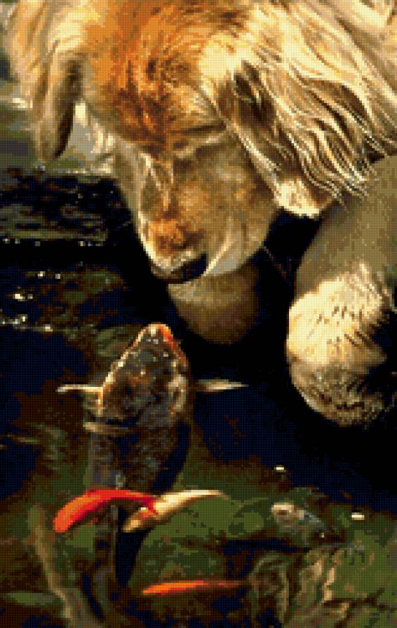 собака на рыбалке - собака, рыбки - предпросмотр