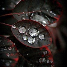 Схема вышивки «Капельки дождя»