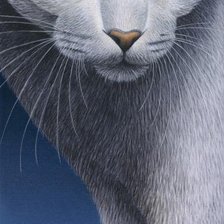 Схема вышивки «коты4»