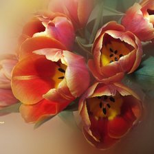 Схема вышивки «Тюльпаны»