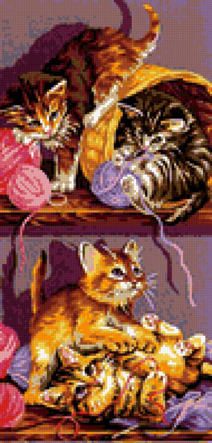 котэ - кот - предпросмотр