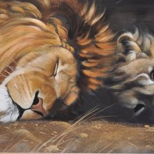 Схема вышивки «тигр»