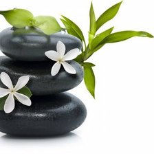 камни в цветах