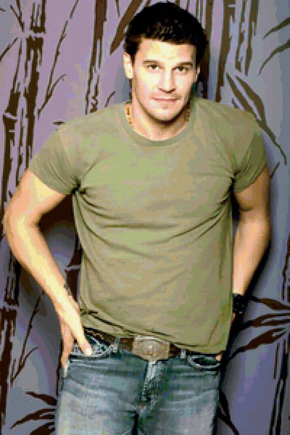 Дэвид Бореаназ - предпросмотр