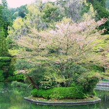 Схема вышивки «Сад»