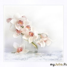 Схема вышивки «Орхидея»