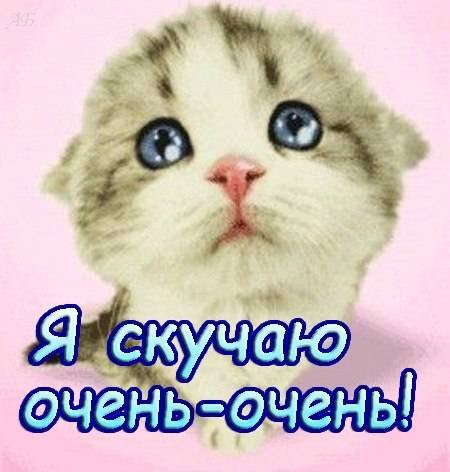 я скучаю - котята - оригинал