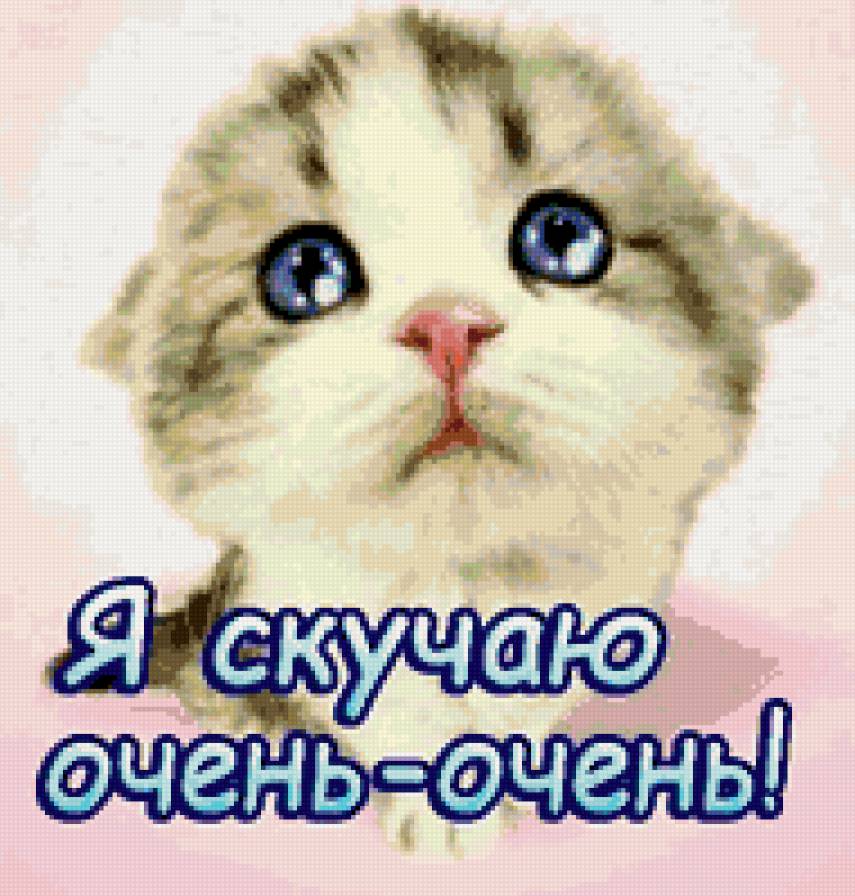 я скучаю - котята - предпросмотр