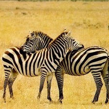 Схема вышивки «любовь-марковь»