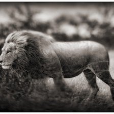 Схема вышивки «обход территории»