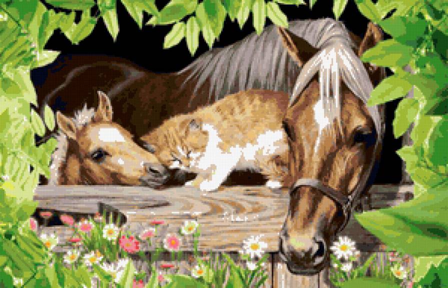 дружба - животные - предпросмотр