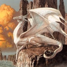 Схема вышивки «белый дракон»